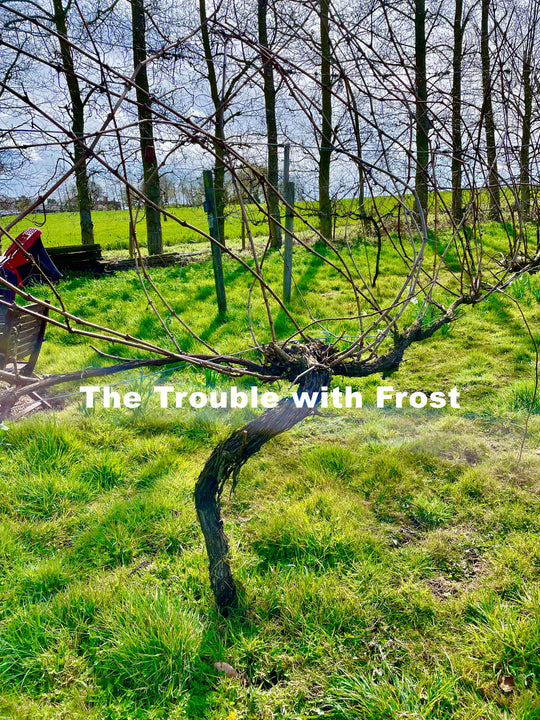 The Trouble with Frost & how to minimise the impact