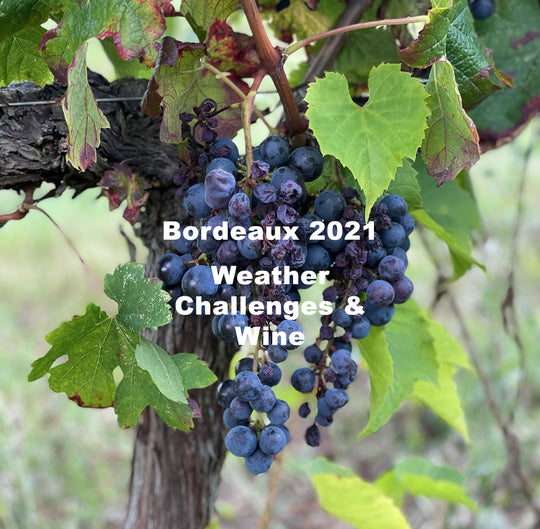 2021 Bordeaux vintage; weather challenges and what it means for the wines