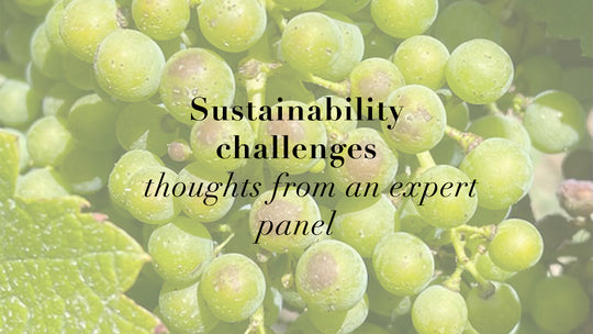 Sustainability challenges for the wine industry - thoughts from an expert panel