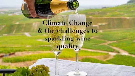 Climate change & the challenges to sparkling wine quality